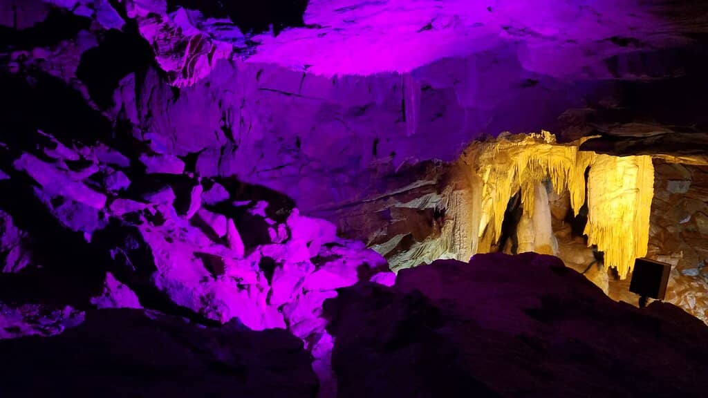 Natural History Museum