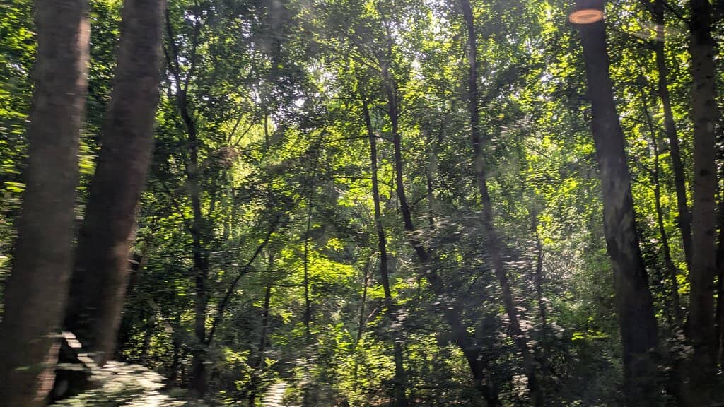 Vertical photo