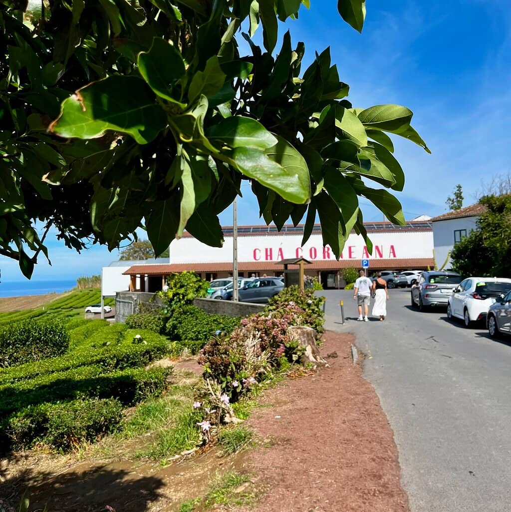 The Scenic View from the Cafe