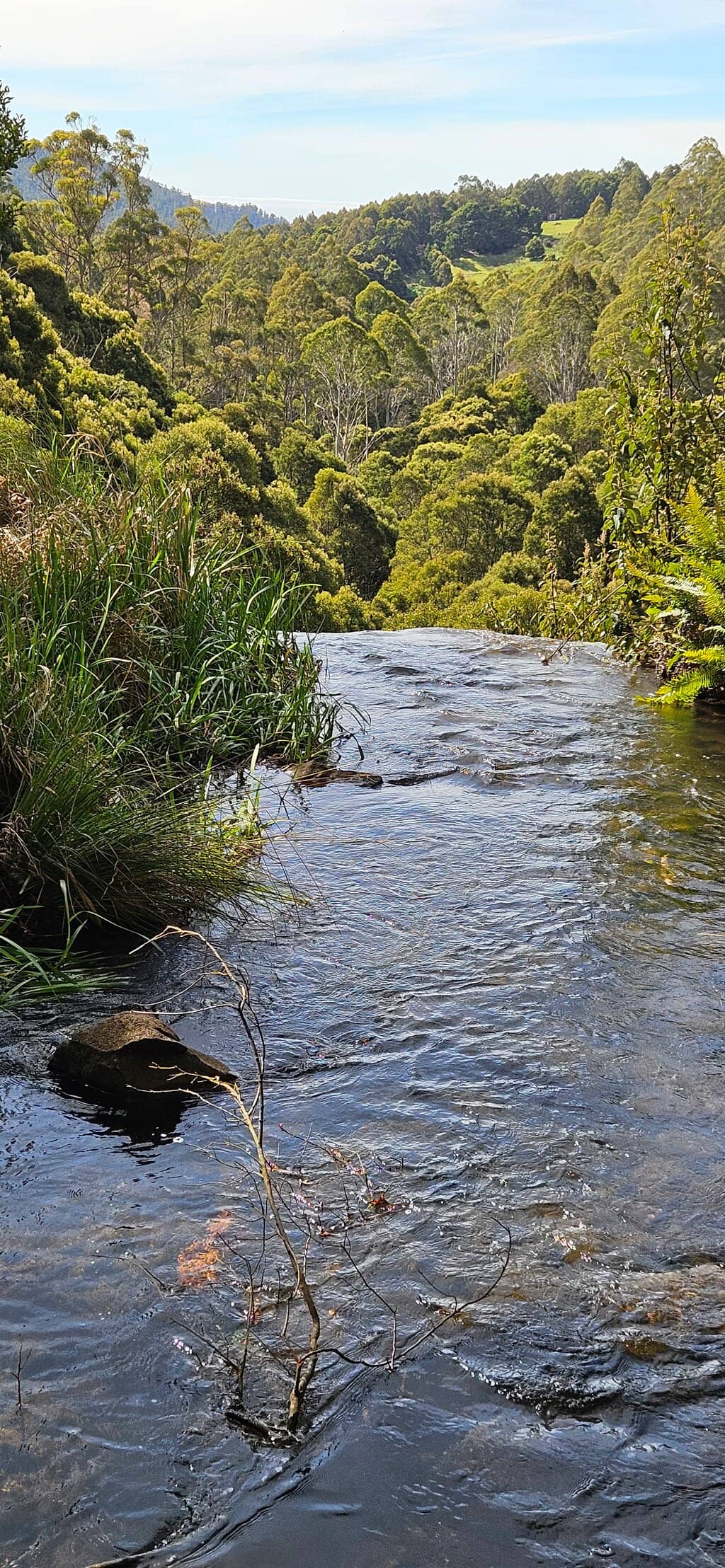 Vertical photo