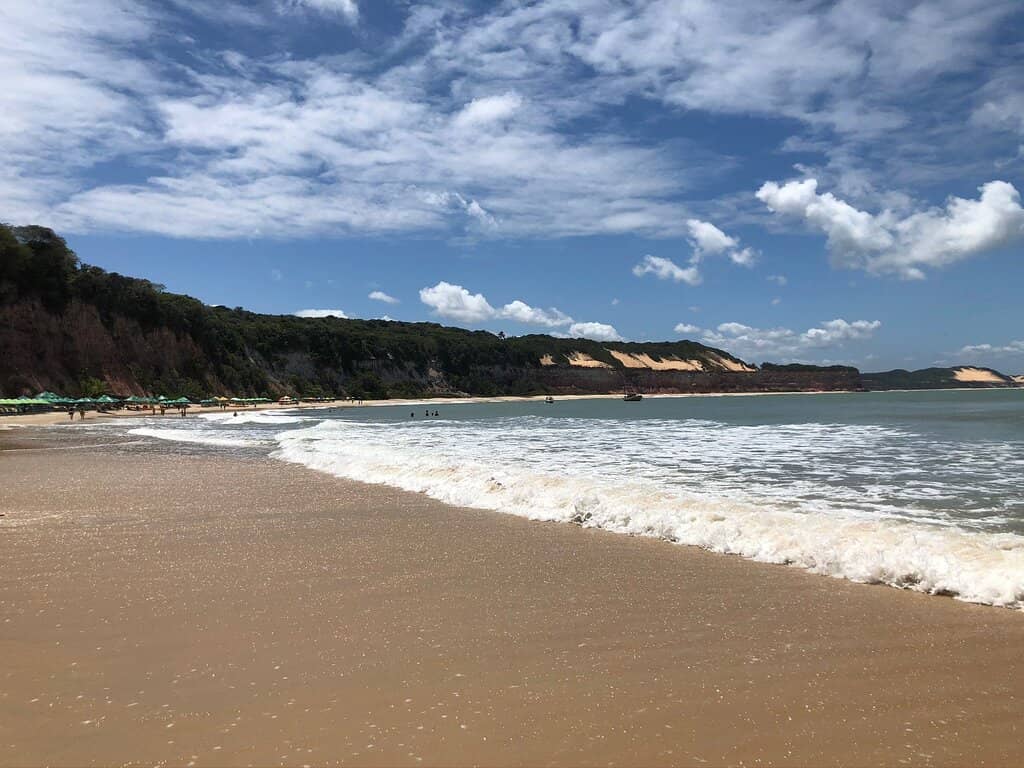 Avenida Baía dos Golfinhos Buzz