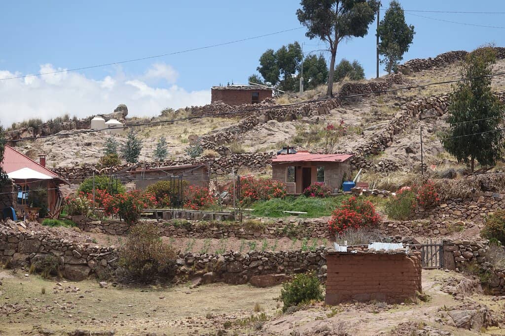 Traditional Textile Arts