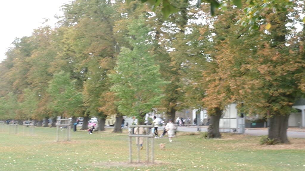 The University Arms Hotel