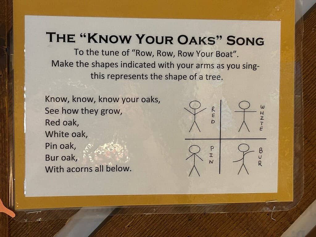 Nature Center Exhibits