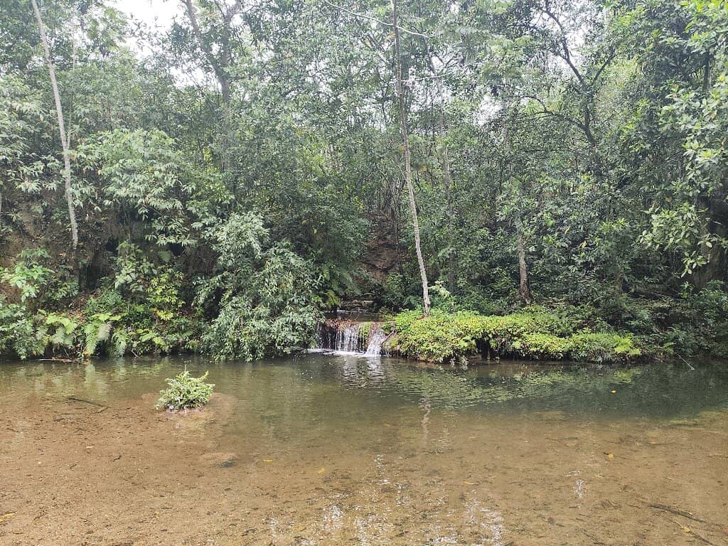 On-site Lunch Options