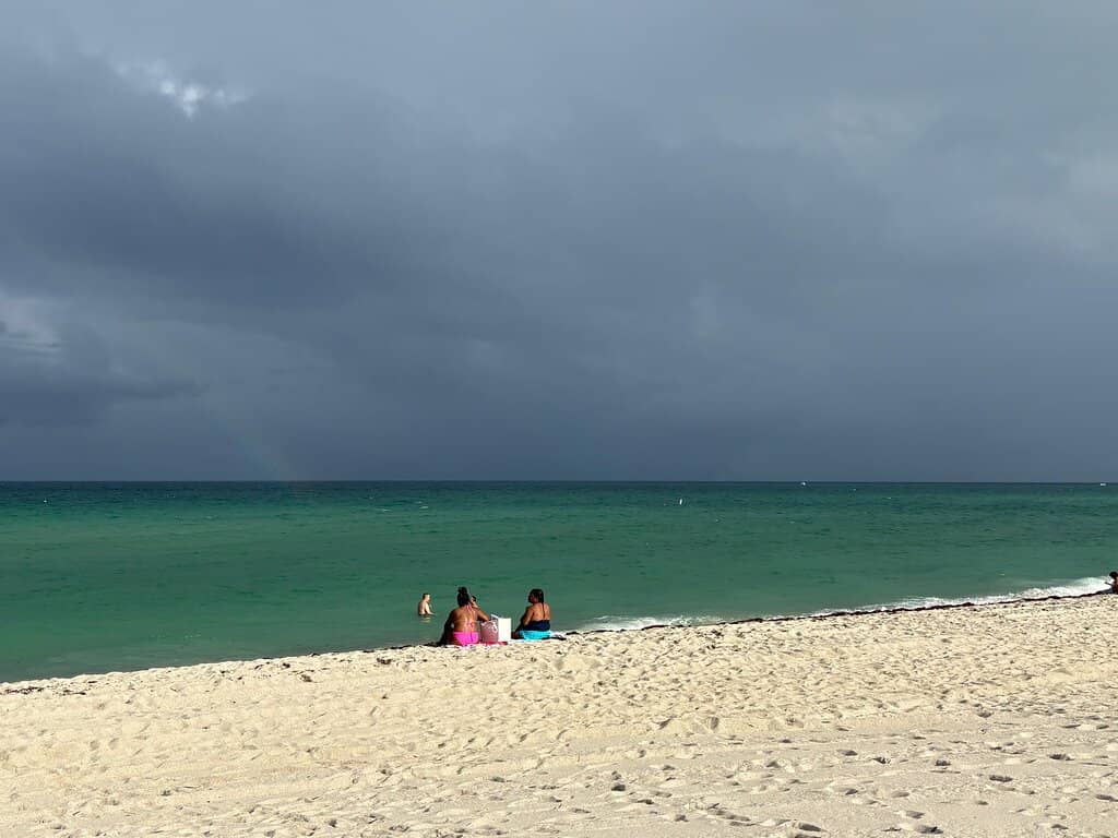 Marine Life Encounters