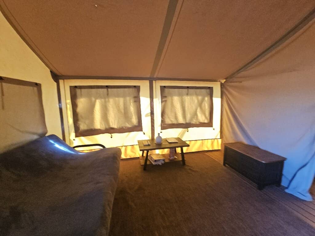 Falconry Demonstrations