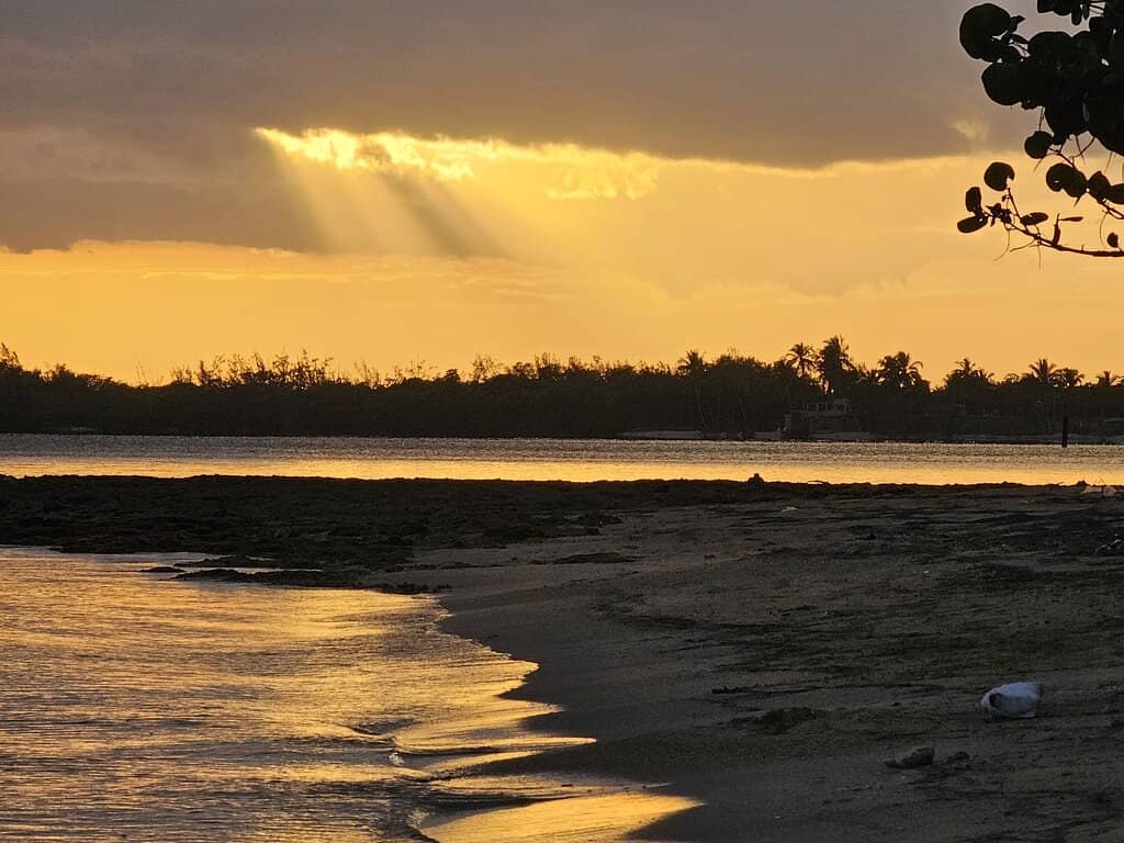 Mexican Pacific Paradise