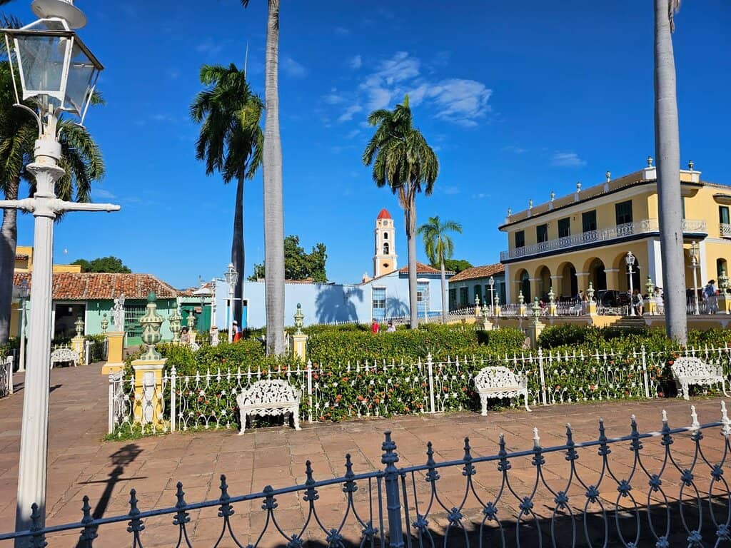 Belvedere City View