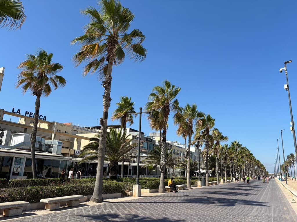 Generous Seafood Starters