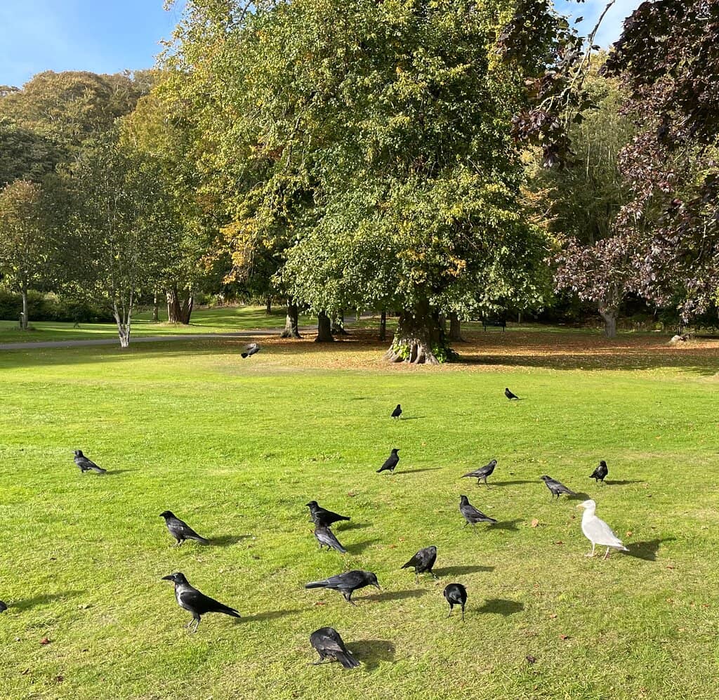 Children's Play Area