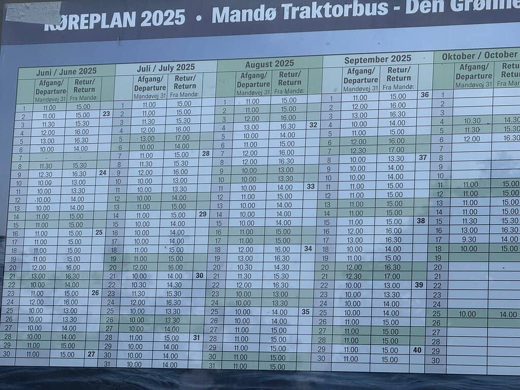Ribe's Resilience