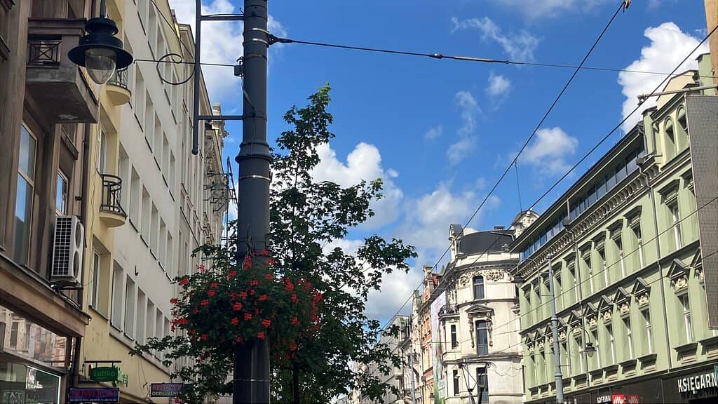 Vertical photo
