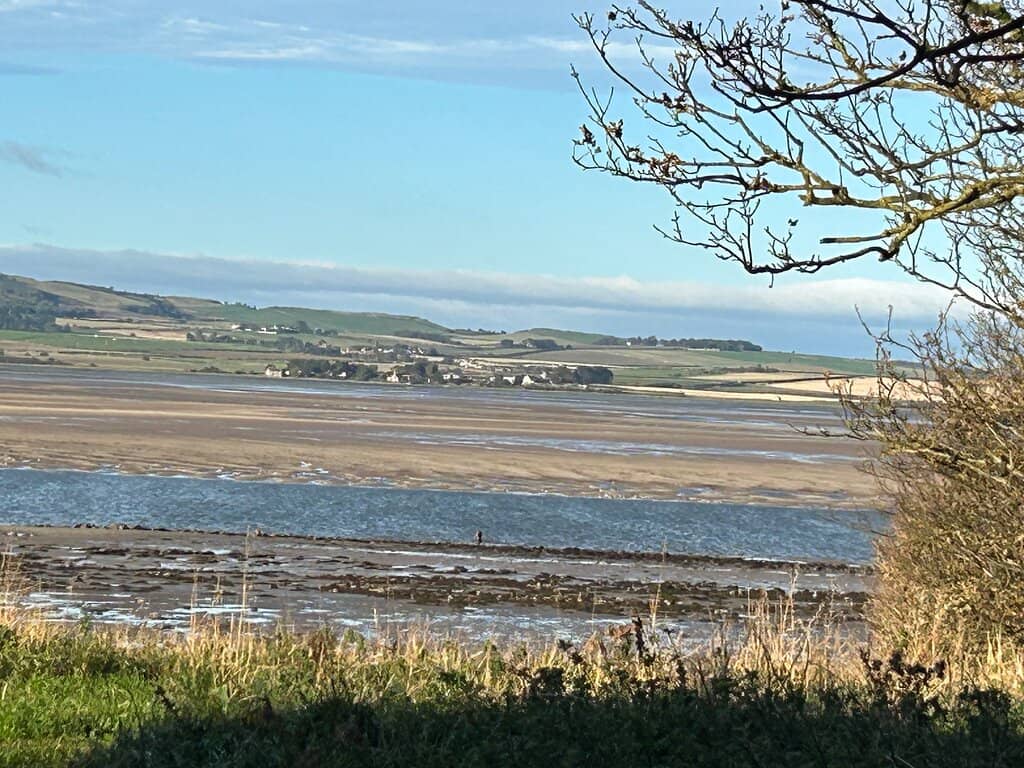 Coastal Walks & Wildlife