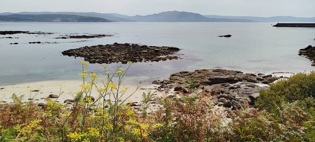 Pristine Sandy Shores