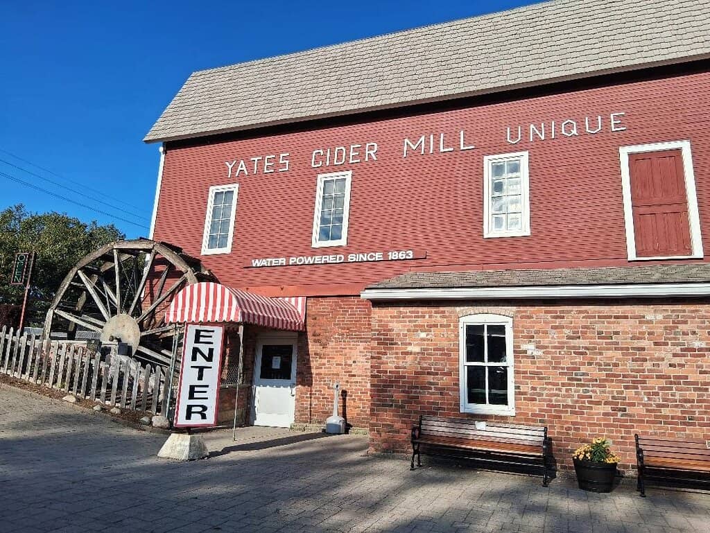 Warm Cinnamon Sugar Donuts