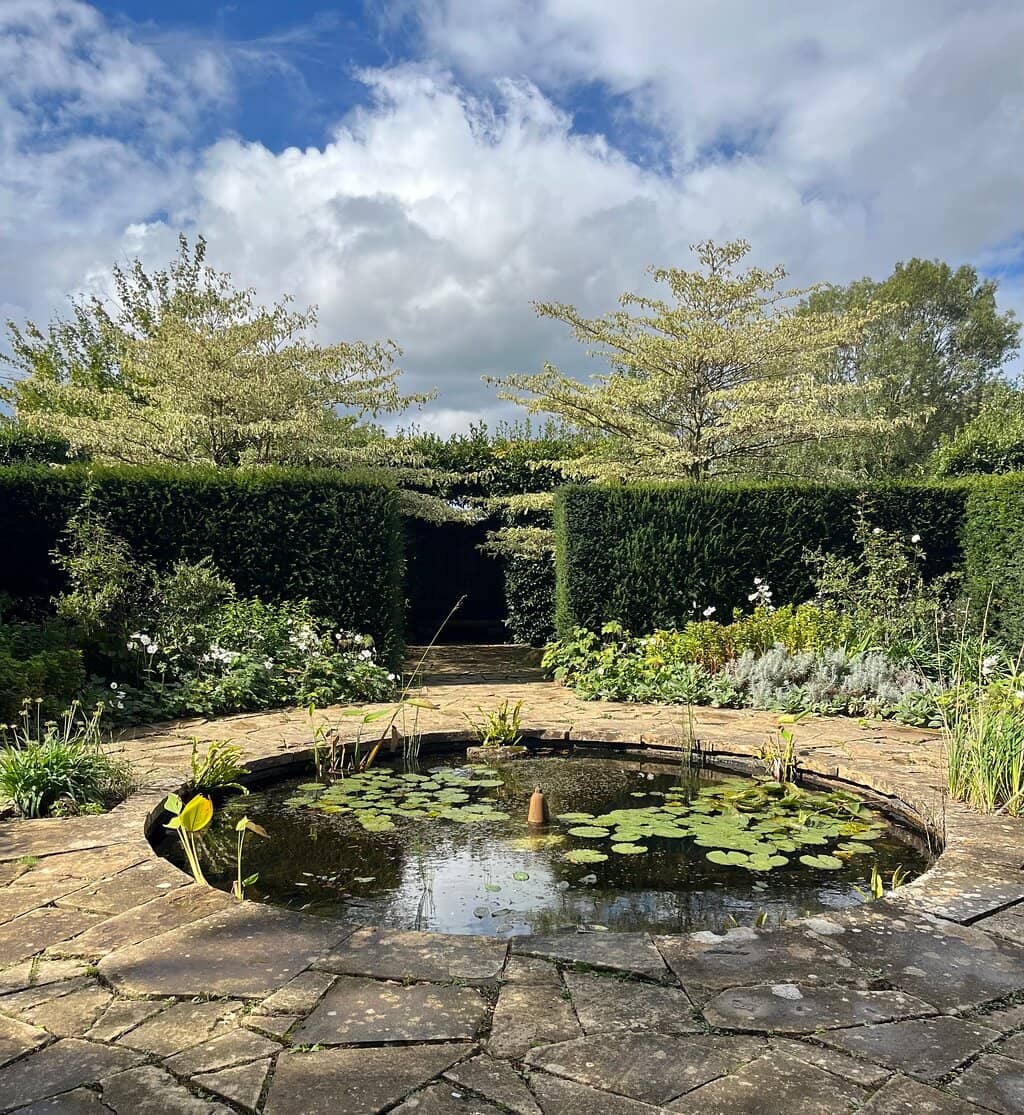 Tranquil Ponds and Lilies