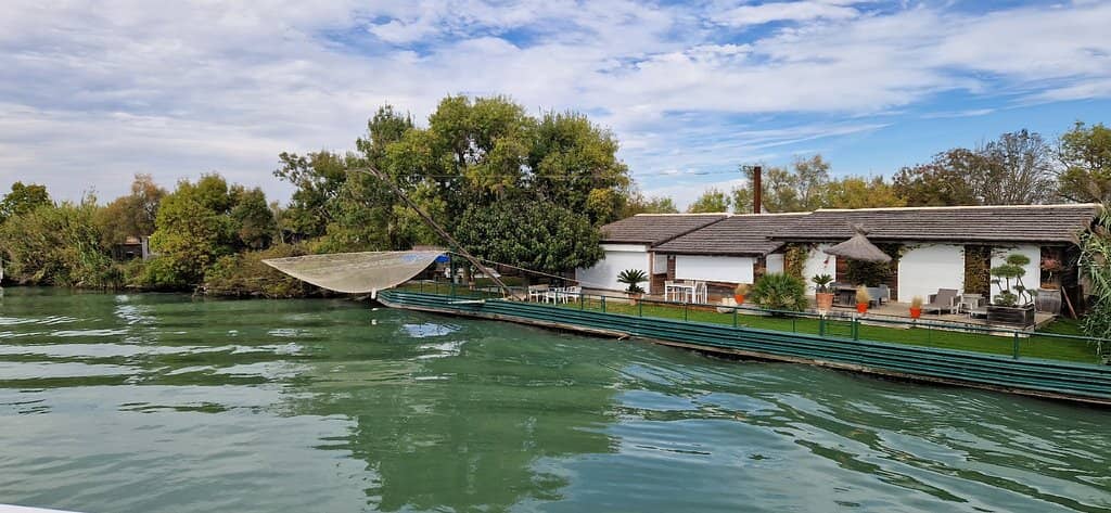 Roussataio (Horse Release)