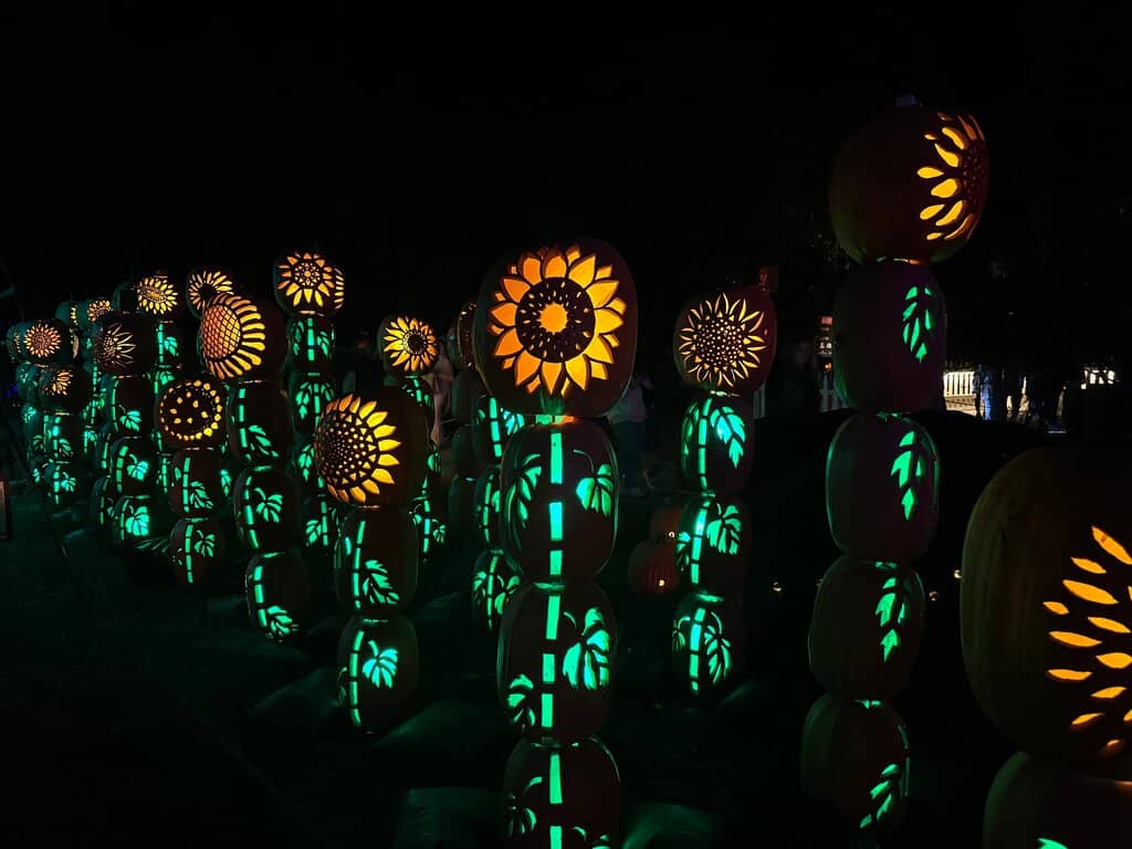 Themed Displays