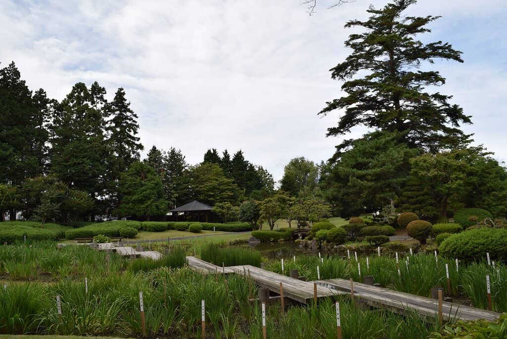 Taisho Roman Tea Room