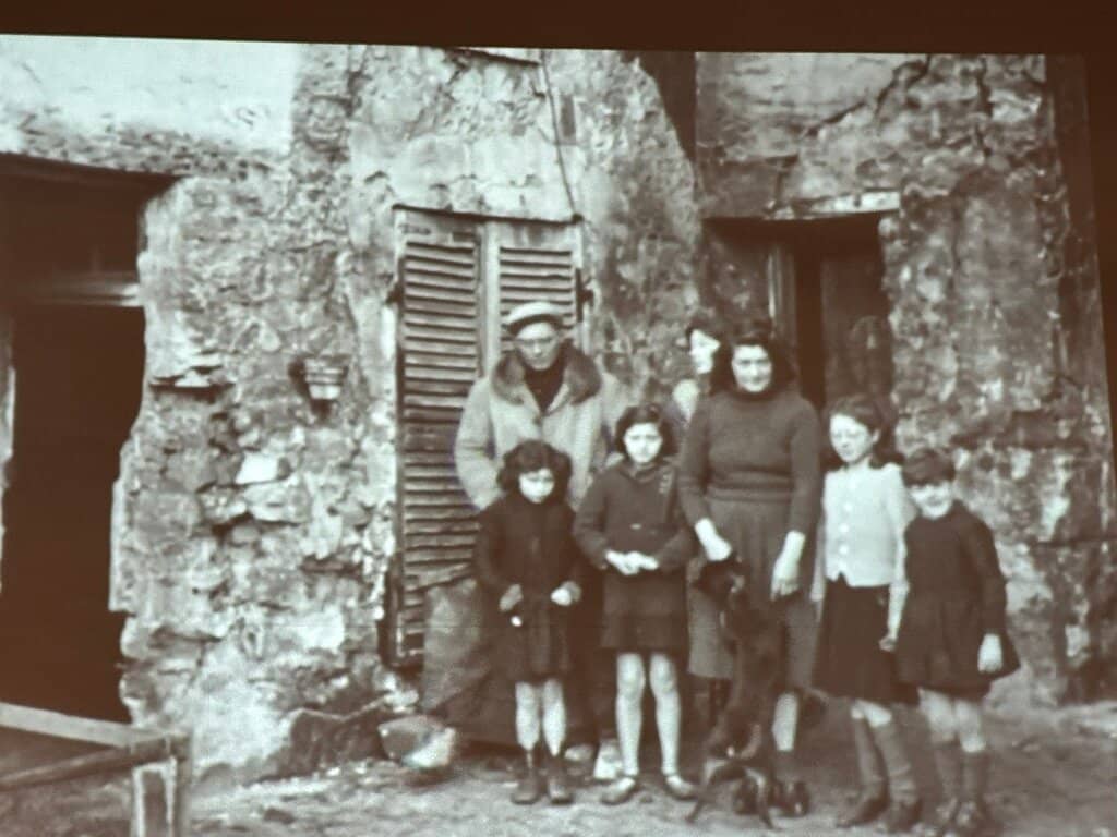 Exhibition: Live or Survive