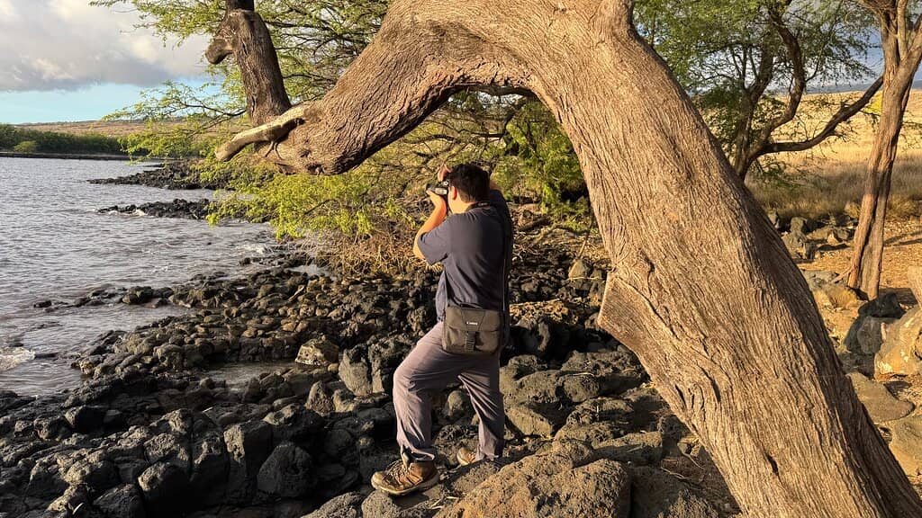 Shaded Picnic Paradise