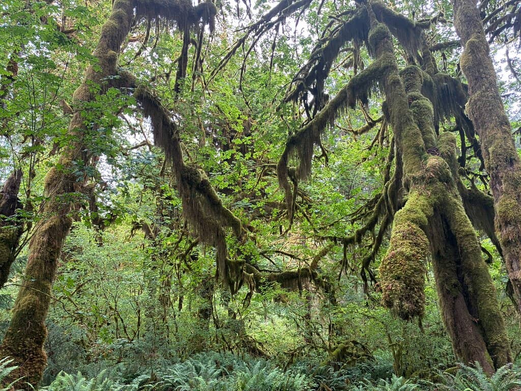 Spruce Nature Trail