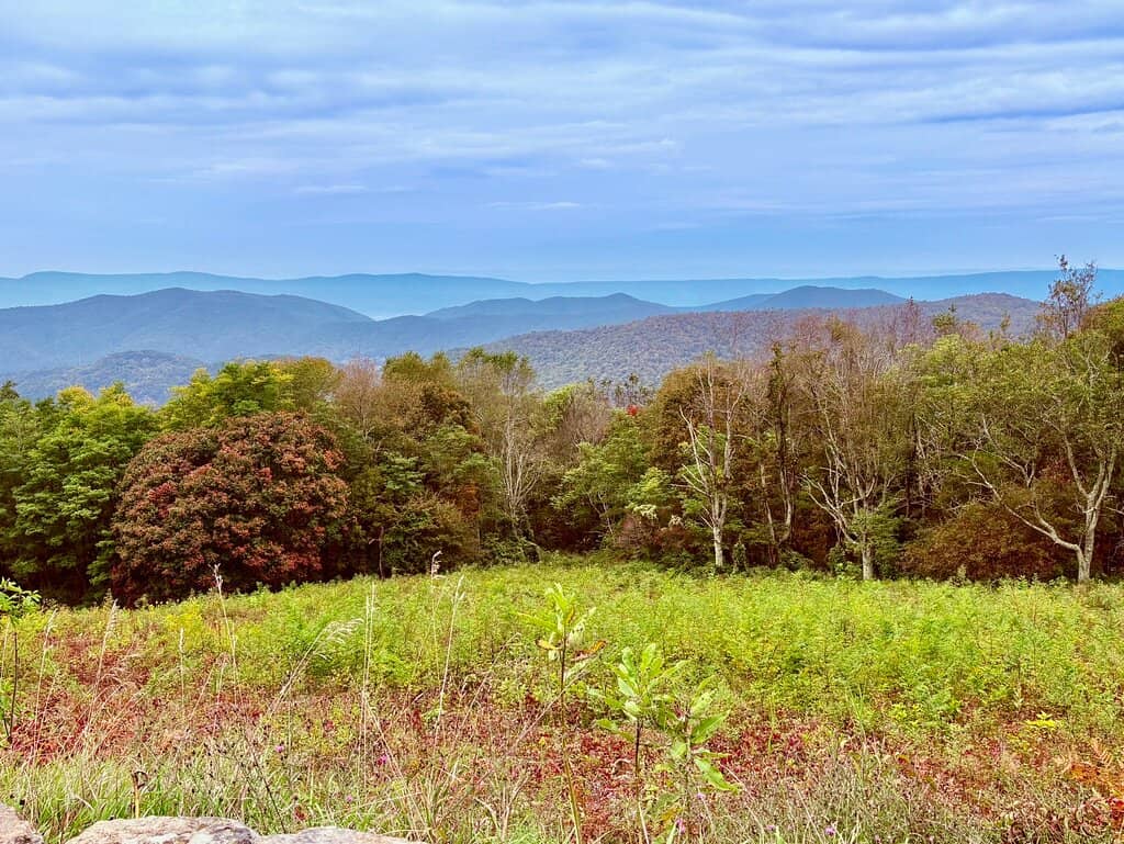 Hiking Trails