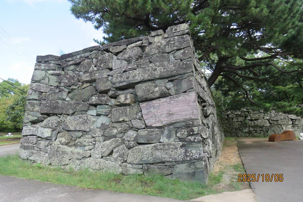 Central Park Ambiance