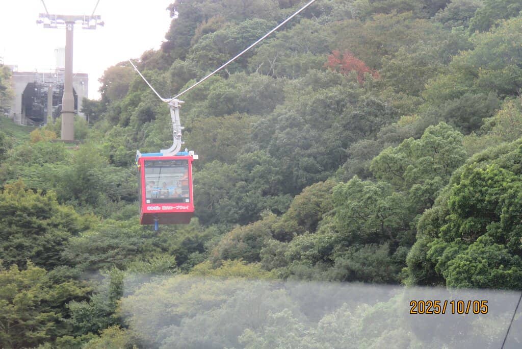 Vertical photo