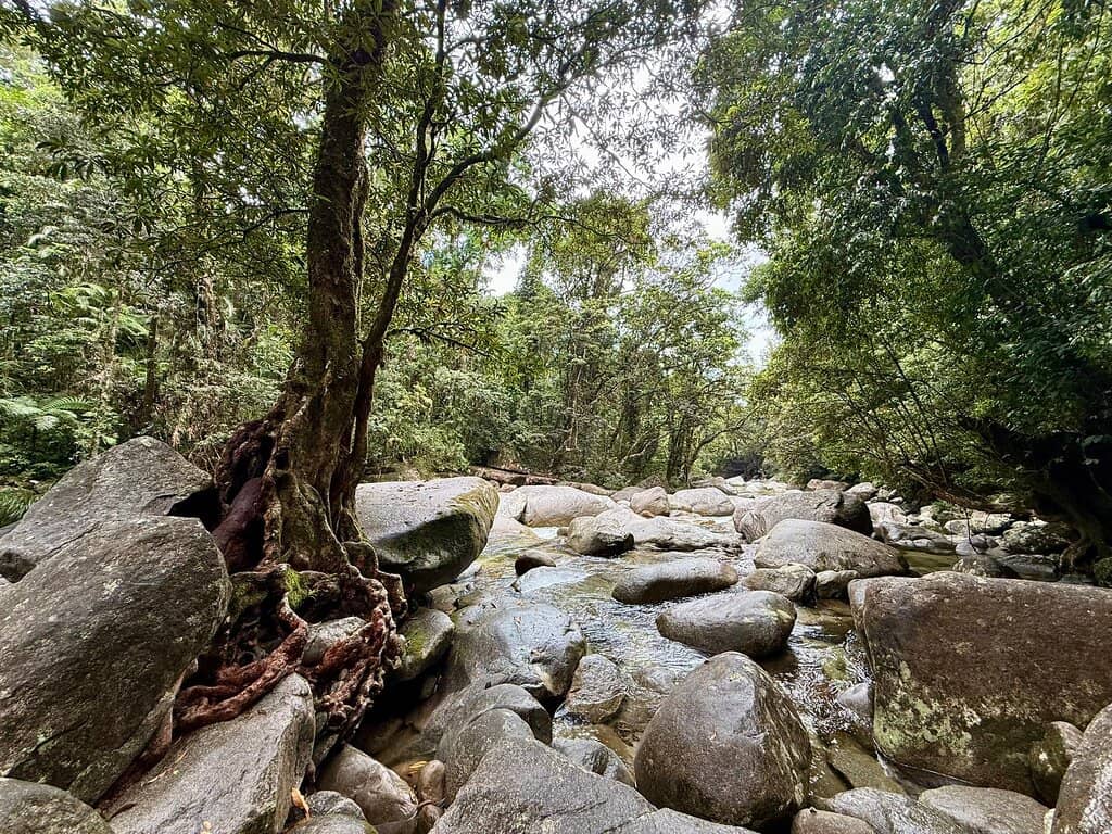 Cascading Waterfalls
