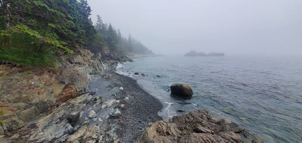 Arctic Bog Boardwalk