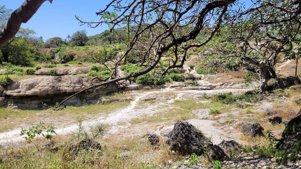 Boating and Water Activities