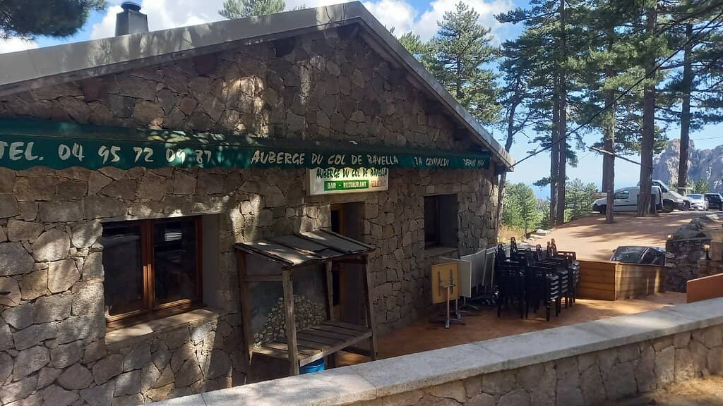 Laricio Pine Forests