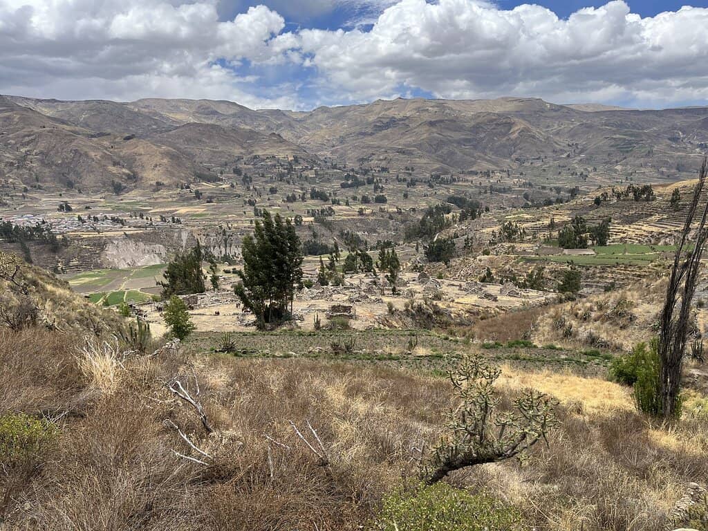 Vertical photo