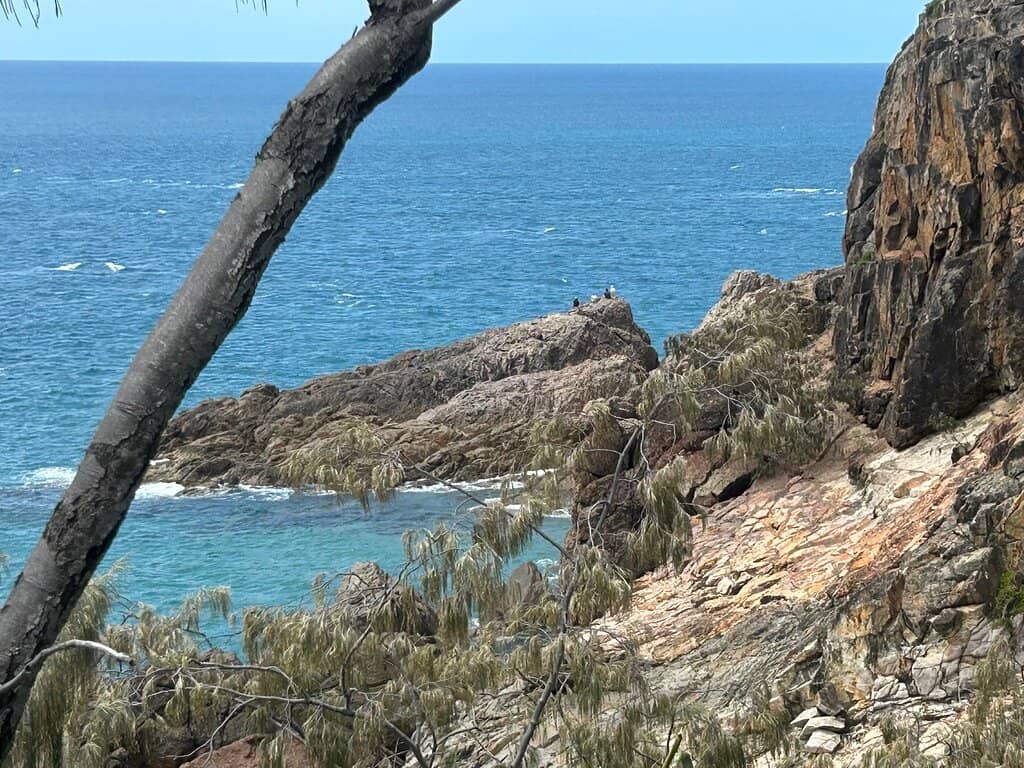 Roundhill Headland Lookout