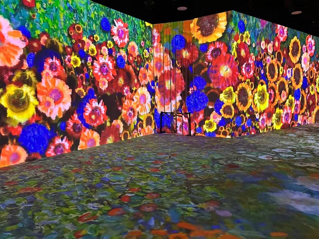 Naked-Eye 3D Experience