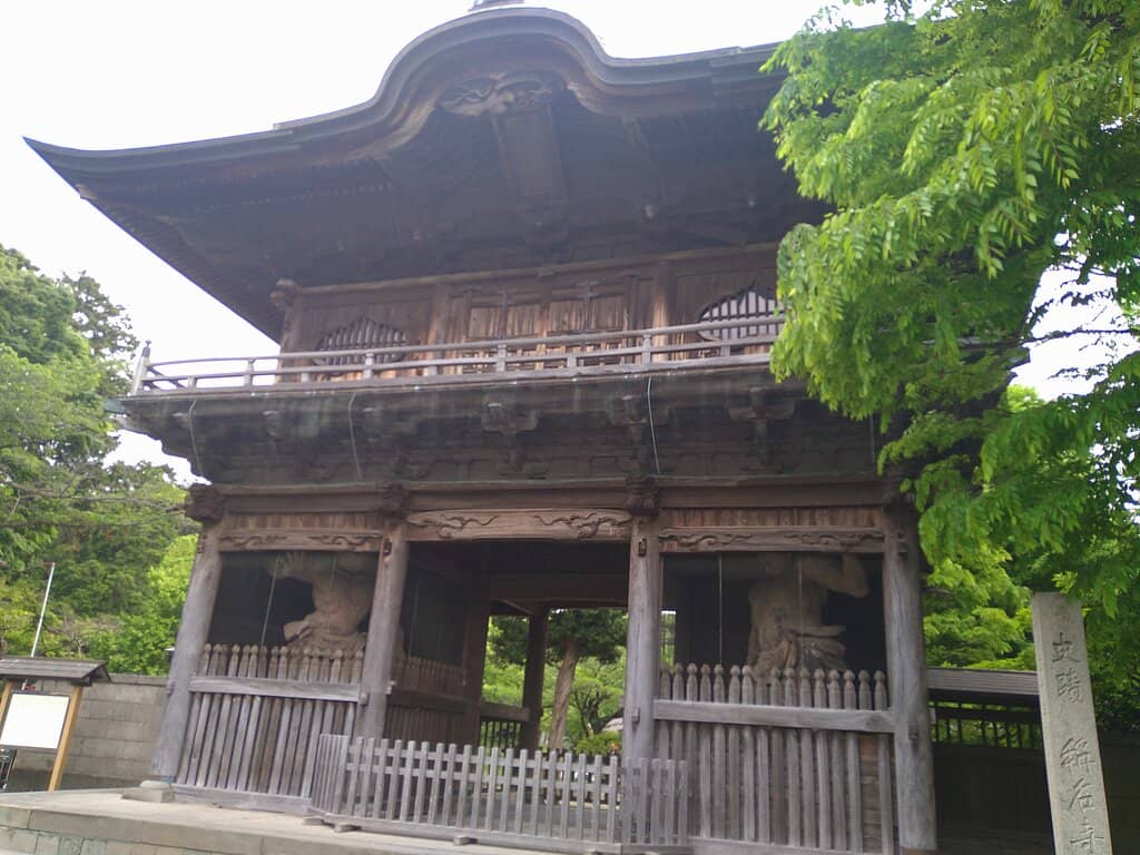 Ancient Ginkgo Tree