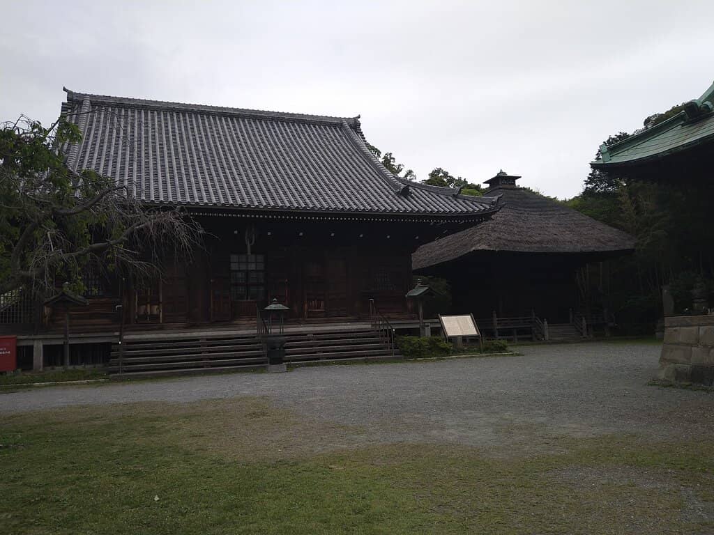 The Serene Pond