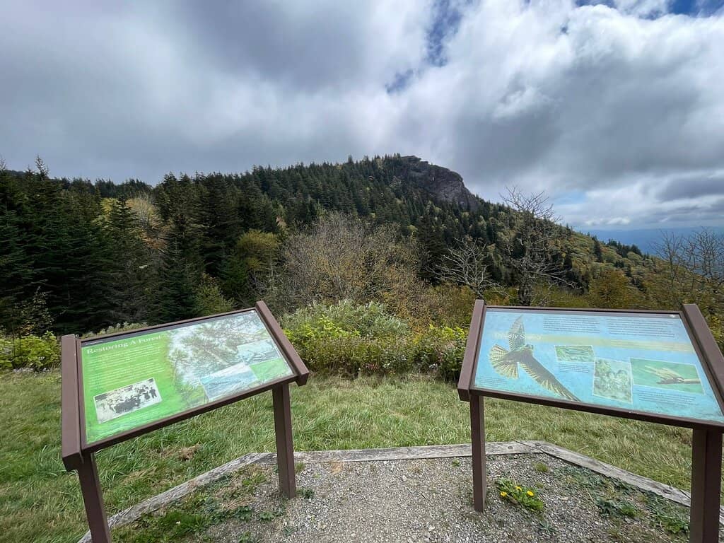 Ancient Ecosystems