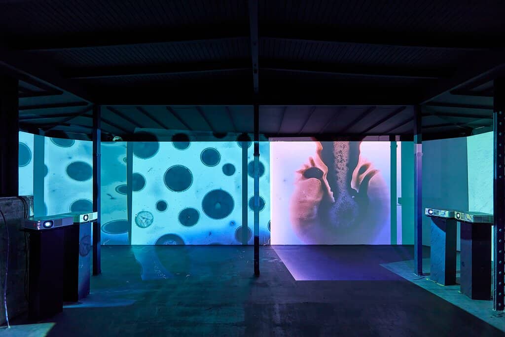 Historic Market Hall Setting