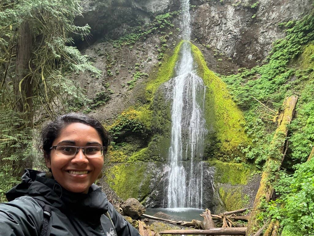 Enchanting Old-Growth Forest