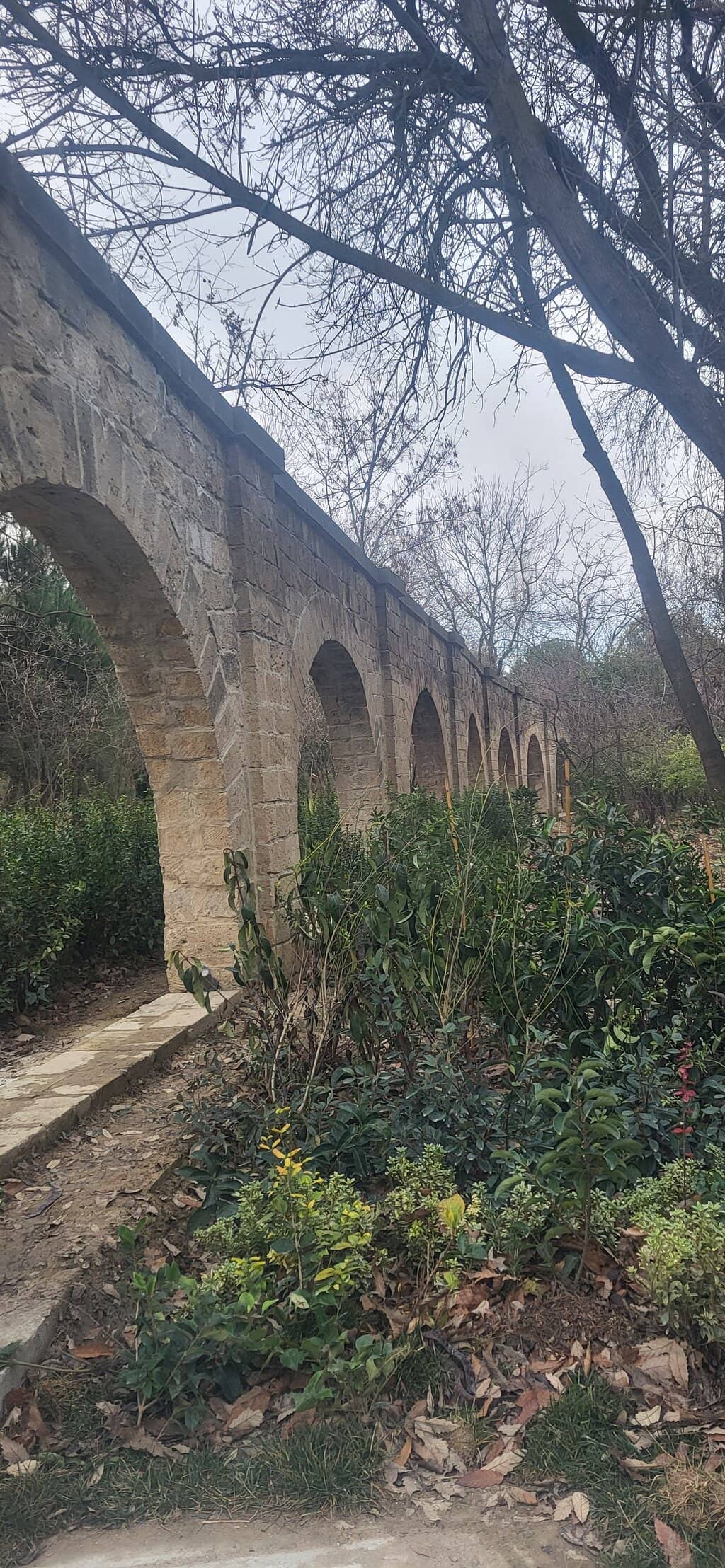 Panoramic Viewing Deck