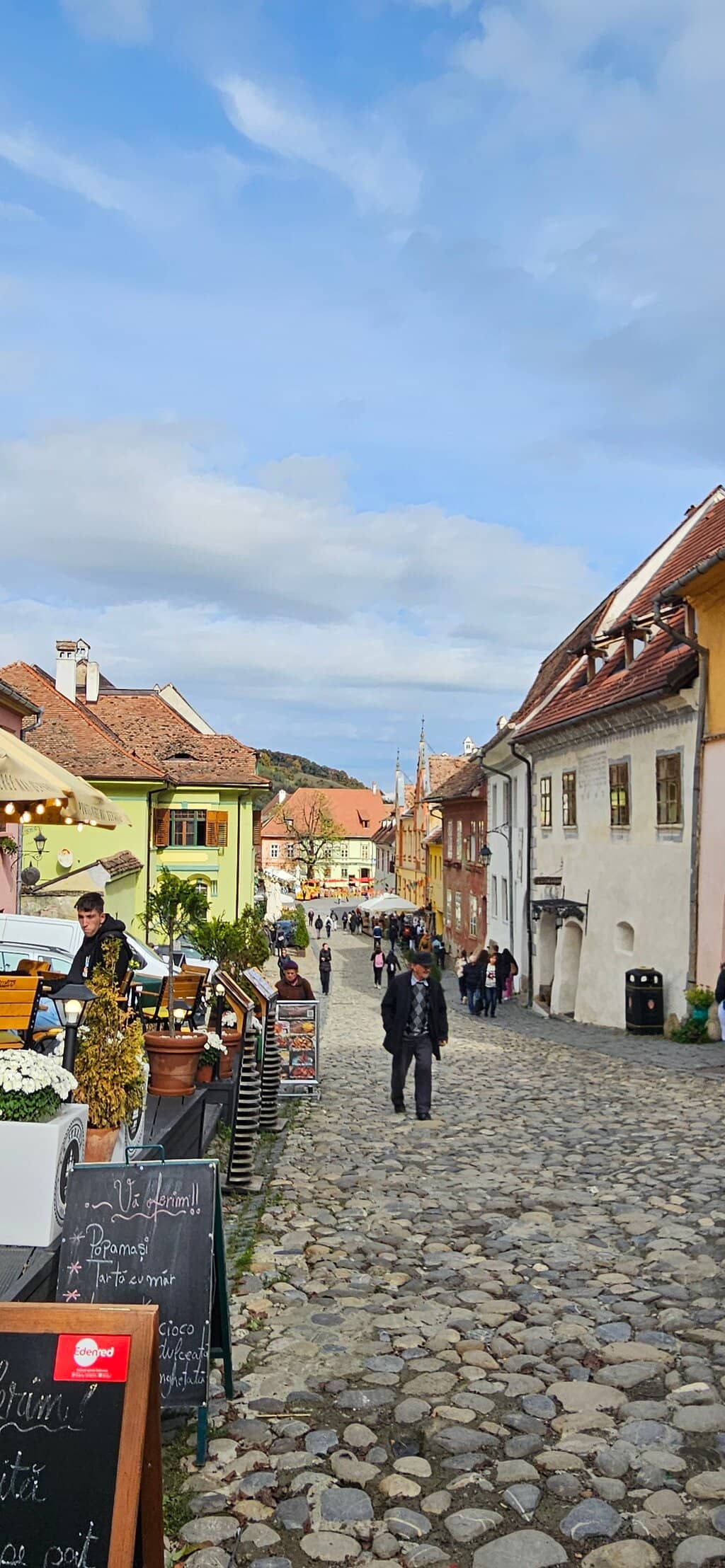 Vlad the Impaler's Birthplace