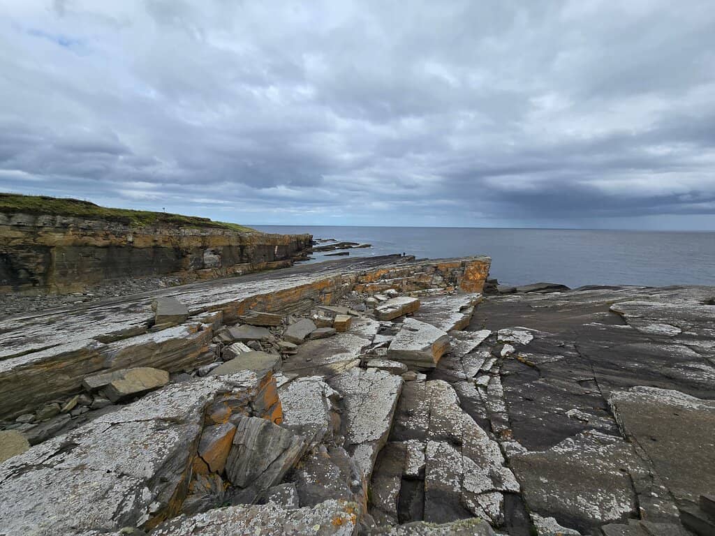 Sea Stacks & Birdlife