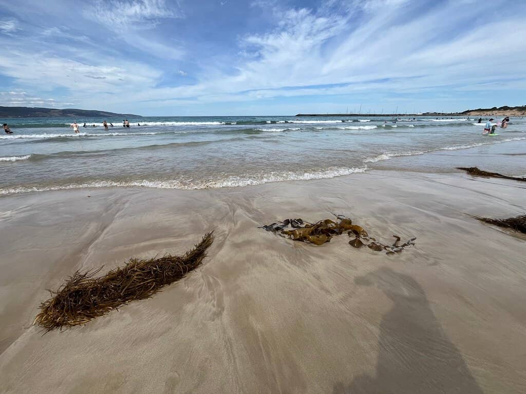 Apollo Bay Fisherman's Co-Op