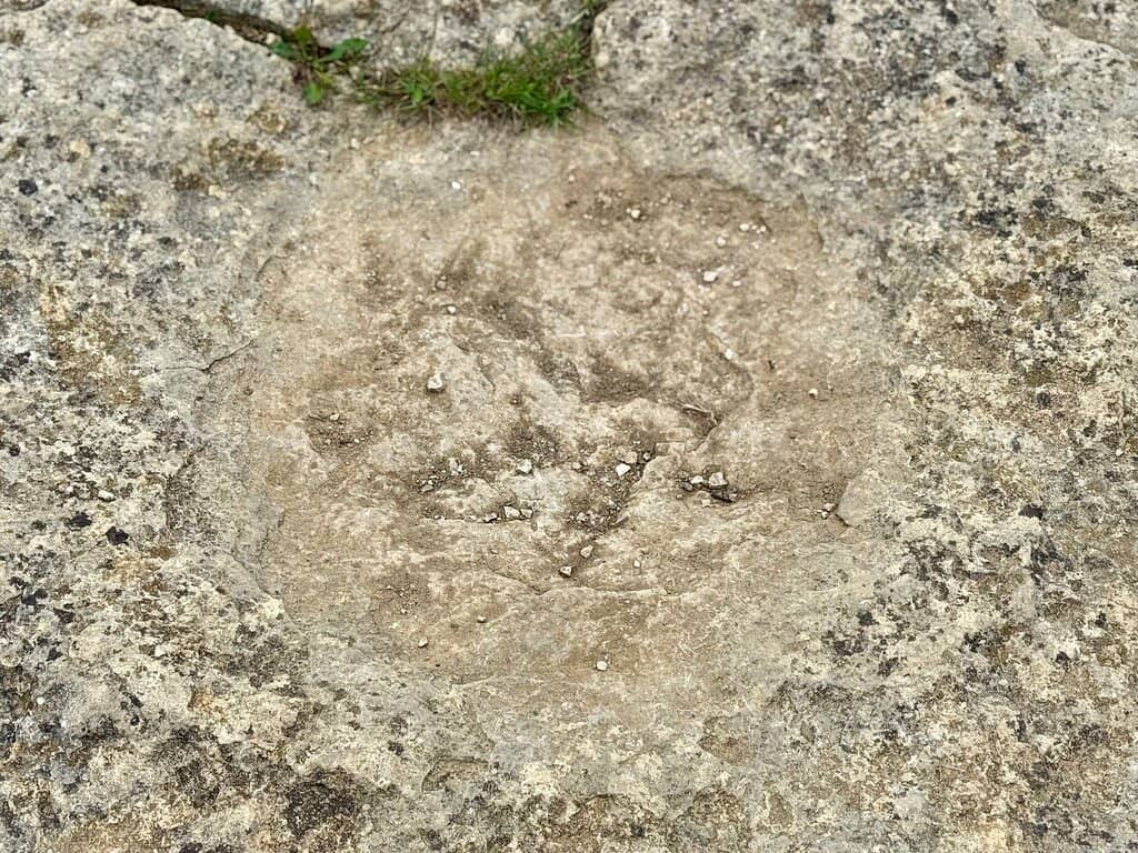 Dancing Ledge Detour