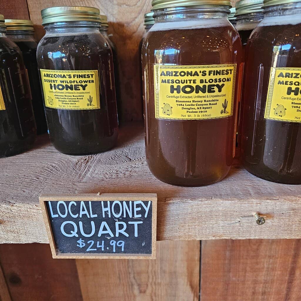 Corn Maze Adventures