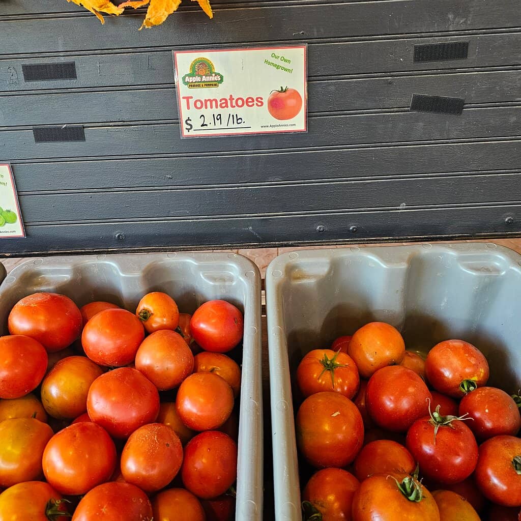 Award-Winning Apple Pie