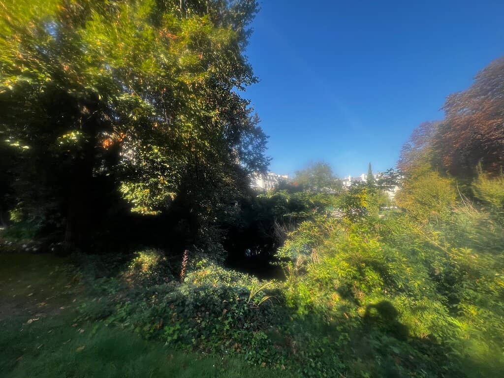 The Serene Garden